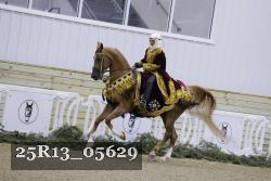 25R13_05629 thumbnail