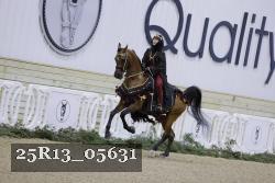25R13_05631 thumbnail