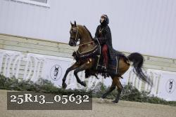 25R13_05632 thumbnail