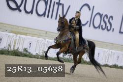 25R13_05638 thumbnail