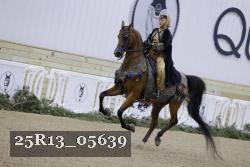 25R13_05639 thumbnail