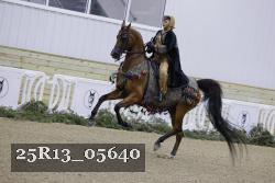 25R13_05640 thumbnail