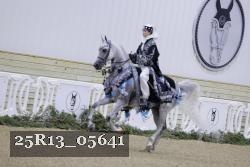 25R13_05641 thumbnail