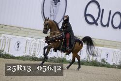 25R13_05642 thumbnail