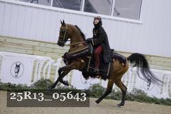 25R13_05643 thumbnail