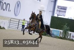 25R13_05644 thumbnail
