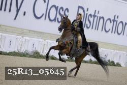 25R13_05645 thumbnail