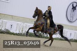 25R13_05646 thumbnail