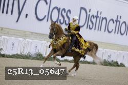 25R13_05647 thumbnail