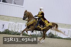 25R13_05648 thumbnail