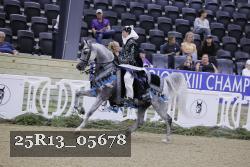 25R13_05678 thumbnail
