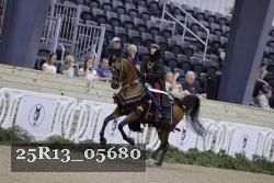 25R13_05680 thumbnail