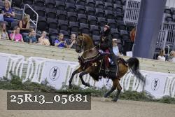 25R13_05681 thumbnail