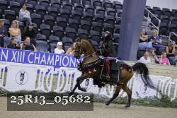 25R13_05682 thumbnail