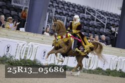 25R13_05686 thumbnail