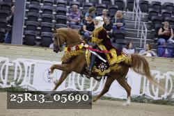 25R13_05690 thumbnail