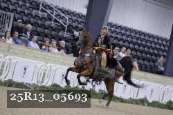 25R13_05693 thumbnail