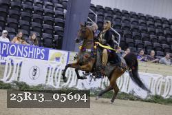 25R13_05694 thumbnail