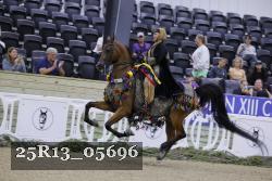 25R13_05696 thumbnail
