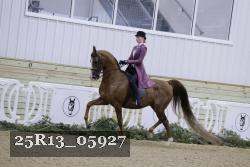 25R13_05927 thumbnail