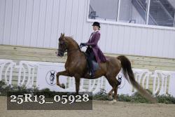 25R13_05928 thumbnail