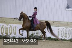 25R13_05929 thumbnail