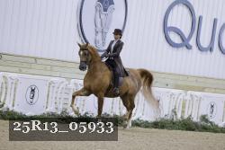 25R13_05933 thumbnail