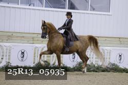 25R13_05935 thumbnail