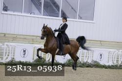 25R13_05938 thumbnail