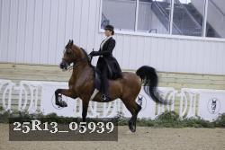 25R13_05939 thumbnail