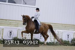 25R13_05942 thumbnail