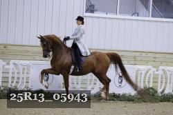 25R13_05943 thumbnail