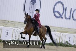 25R13_05944 thumbnail