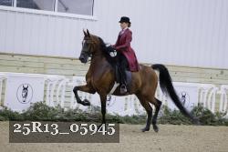 25R13_05945 thumbnail