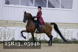 25R13_05946 thumbnail