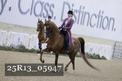 25R13_05947 thumbnail