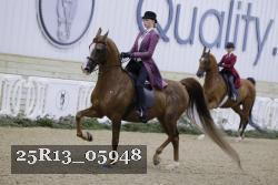 25R13_05948 thumbnail
