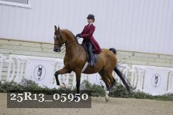 25R13_05950 thumbnail