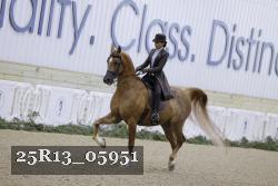 25R13_05951 thumbnail