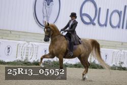 25R13_05952 thumbnail
