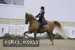 25R13_05953 thumbnail