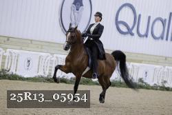25R13_05954 thumbnail