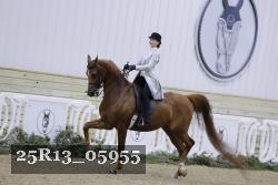 25R13_05955 thumbnail