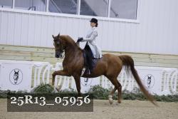 25R13_05956 thumbnail