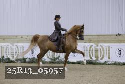 25R13_05957 thumbnail