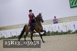 25R13_05958 thumbnail