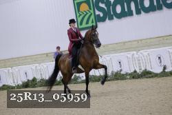 25R13_05959 thumbnail