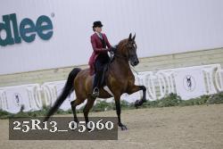 25R13_05960 thumbnail