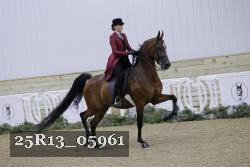 25R13_05961 thumbnail