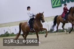 25R13_05962 thumbnail